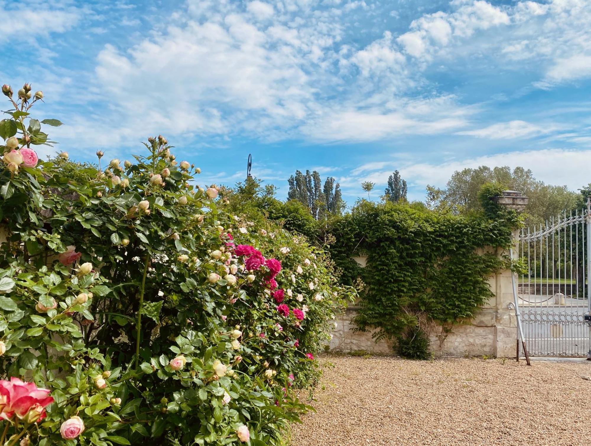 Maison Adrienne Saint-Aignan  Exterior photo